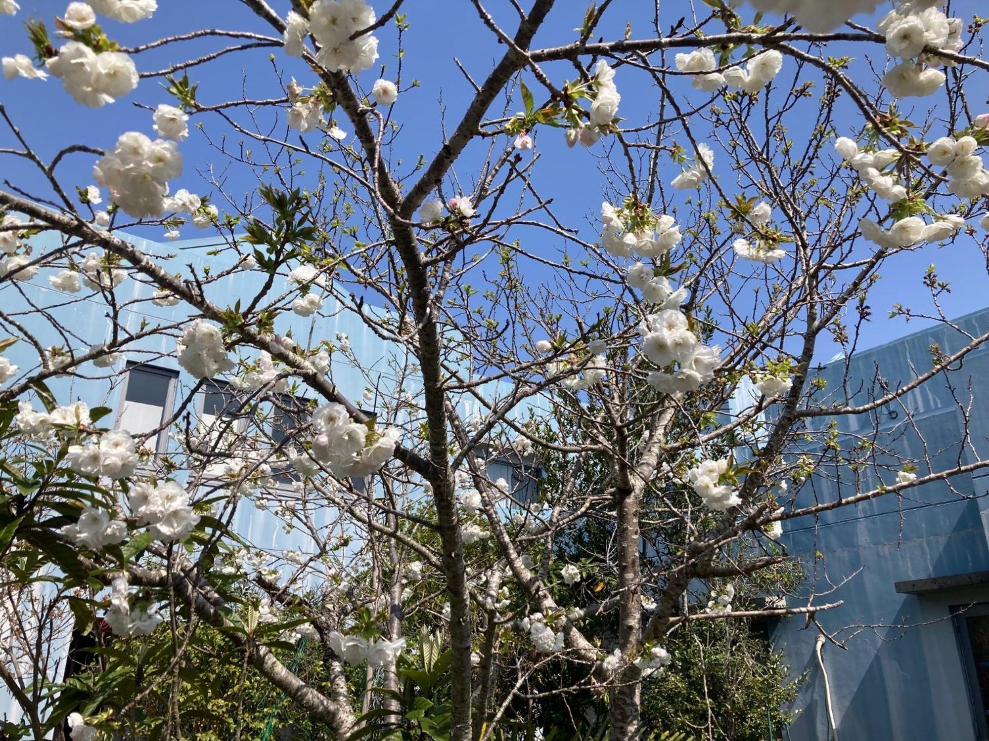 Narita Airport Samurai Hostel Kujukuri 외부 사진
